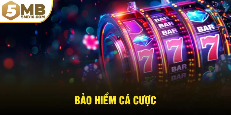 bảo hiểm cá cược