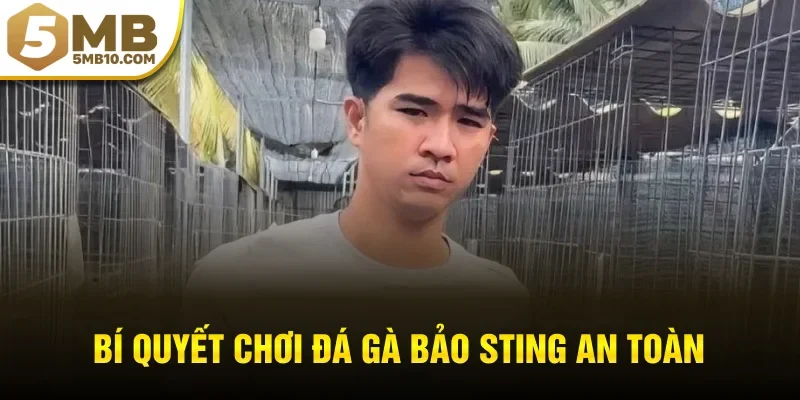 Bí quyết chơi đá gà bảo sting an toàn