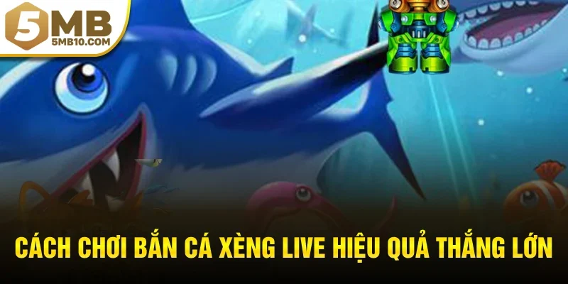 Cách chơi bắn cá xèng live hiệu quả thắng lớn
