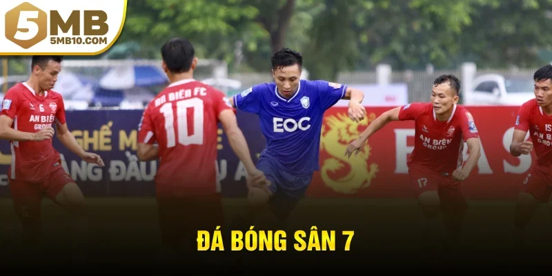 đá bóng sân 7