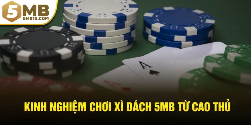 Kinh nghiệm chơi xì dách 5MB từ cao thủ