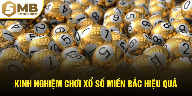 Kinh nghiệm chơi xổ số miền bắc hiệu quả từ cao thủ