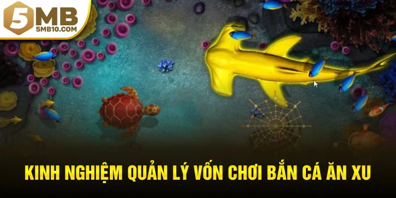 Kinh nghiệm quản lý vốn chơi bắn cá ăn xu an toàn