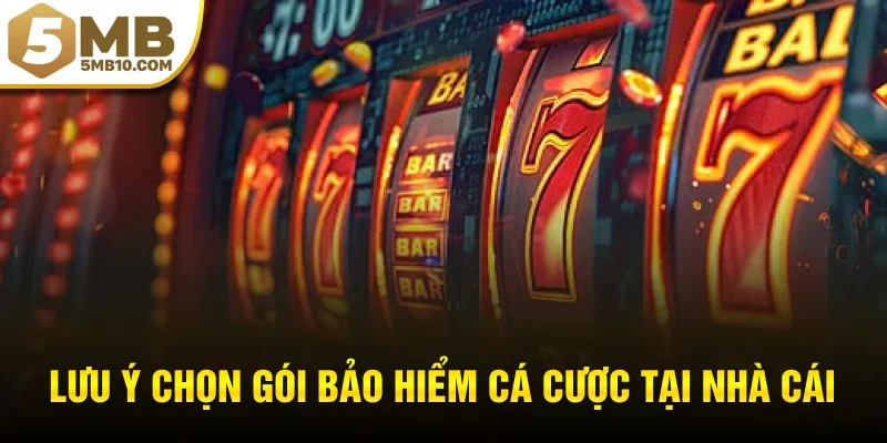 Lưu ý chọn gói bảo hiểm cá cược tại nhà cái uy tín