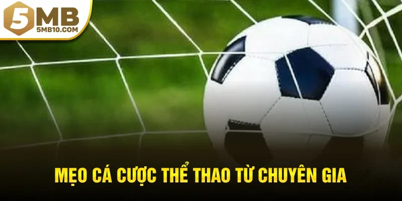 Mẹo cá cược thể thao từ chuyên gia