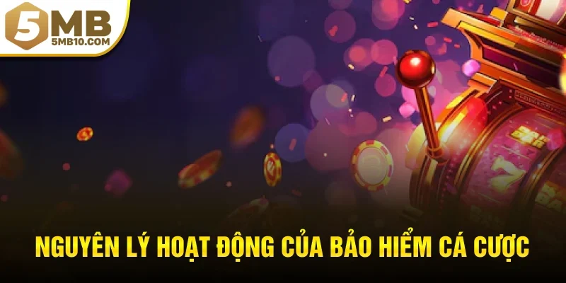 Nguyên lý hoạt động của bảo hiểm cá cược