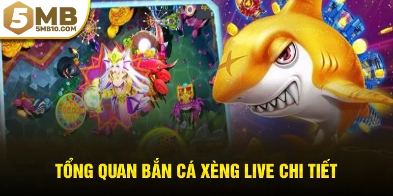 Tổng quan bắn cá xèng live chi tiết cho người mới