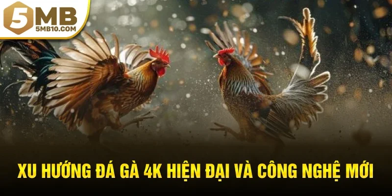 Xu hướng đá gà 4K hiện đại và công nghệ mới